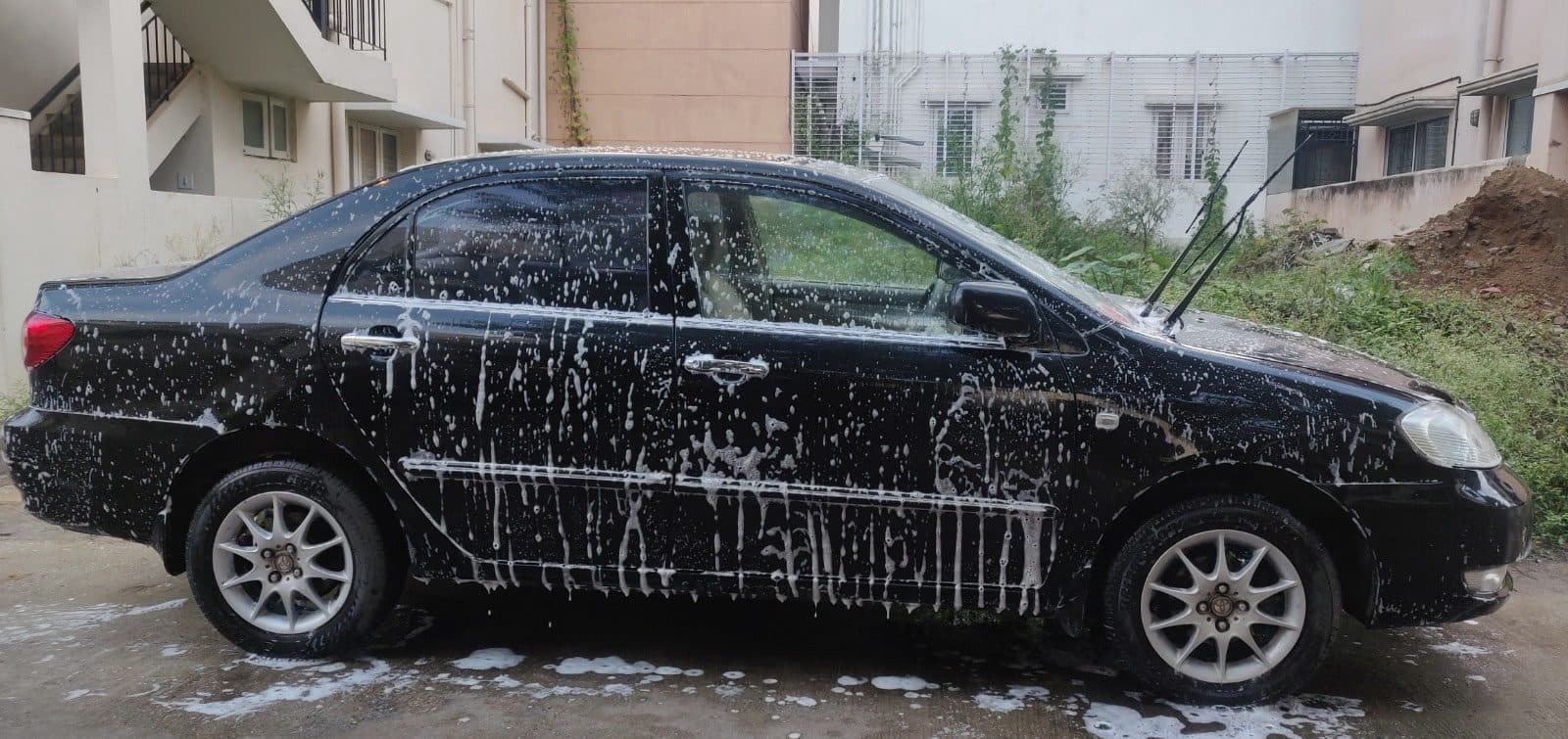 Shampoo wash in progress on a black sedan
